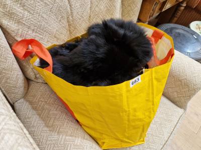 2 X FUR COATS