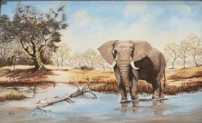 NICOLE OIL ON BOARD "DRINKING ELEPHANT" (40X64)