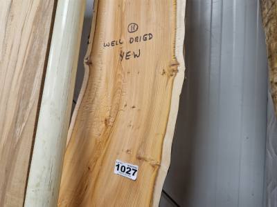 DRIED YEW (215CM)