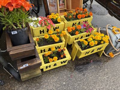 9 X PLANT POTS WITH MIXED PLANTS 