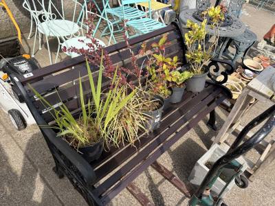GARDEN BENCH