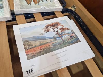 LOT OF J.W CAREY PRINTS