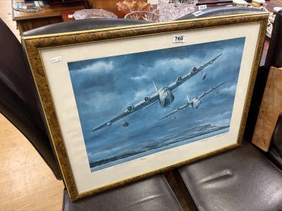 LIMITED PLANE PRINT