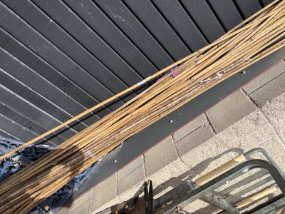 LOT OF CANE LENGTHS