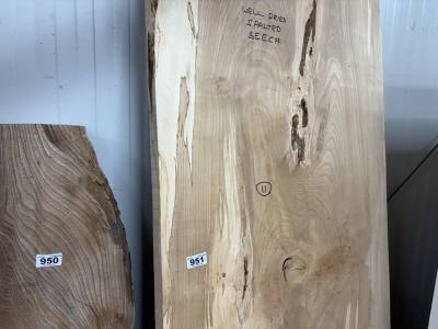 PIECE OF SPALTED BEECH (205CM)