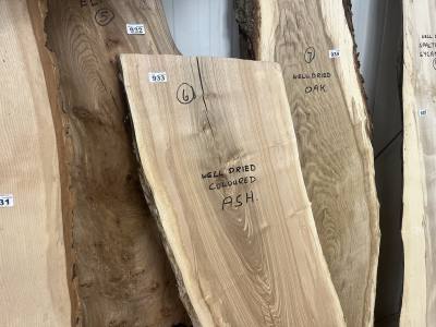 COLOURED ASH (140CM) 