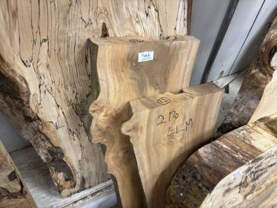 2 PIECES OF ELM