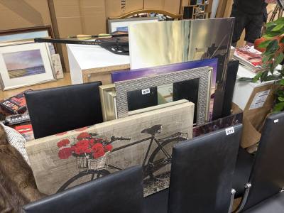 LOT OF PICTURES