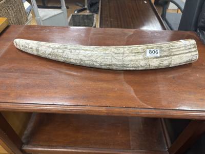REPRO CARVED SCRIMSHAW TUSK