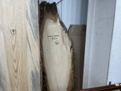 DRIED ASH (160CM)