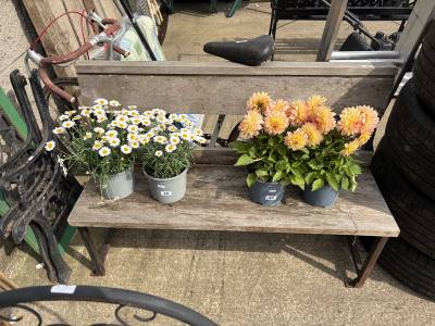 BENCH