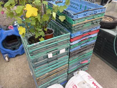 LOT OF CRATES
