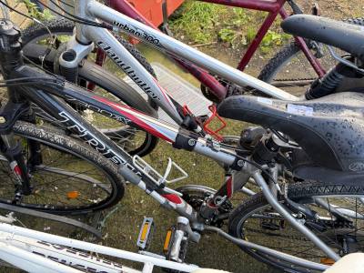 TREK BIKE