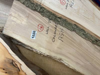 COLOURED ASH (150CM)