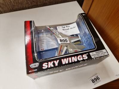SKY WINGS MODEL