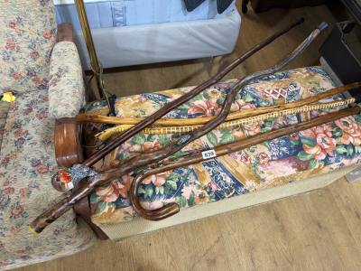 LOT OF WALKING STICKS