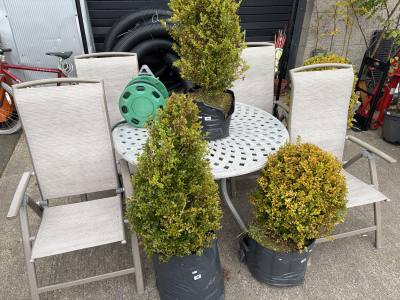 GARDEN TABLE + 4 X CHAIRS