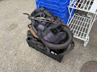 BOX OF HORSE ACCESSORIES