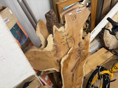 3 X PIECES OF YEW