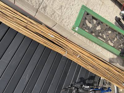 LOT OF BAMBOO LENGTHS