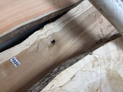 SPALTED BEECH (230CM)