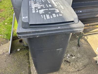 WHEELIE BIN