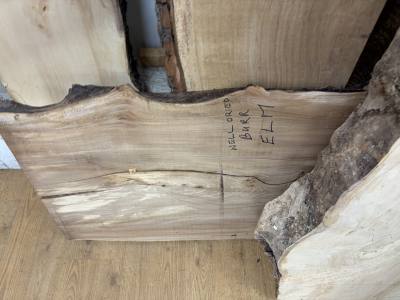 PIECE OF ELM (240CM)