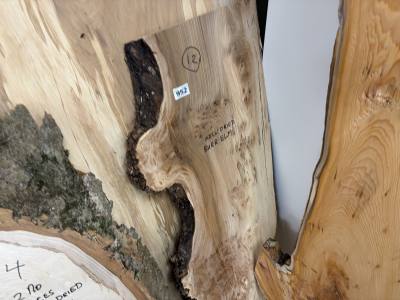 PIECE OF BURR ELM (105CM)