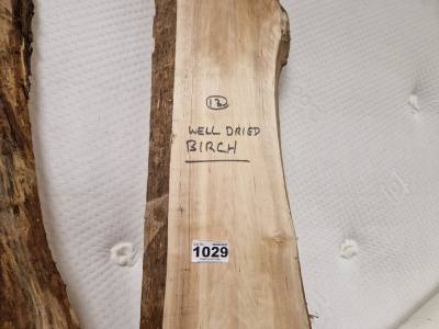 DRIED BIRCH (210CM)