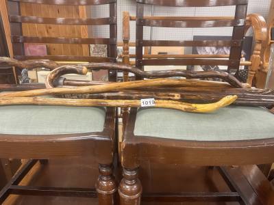 LOT OF WALKING STICKS