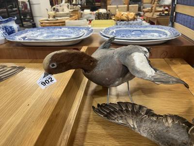 STUFFED DUCK