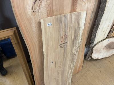 PIECE OF ASH (110CM)