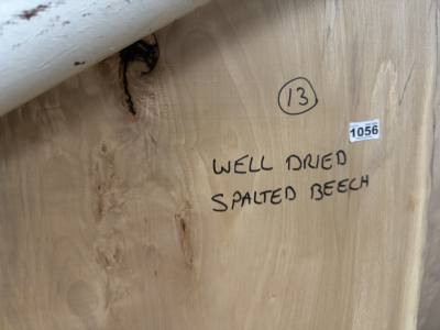 SPALTED BEECH (225 CM)