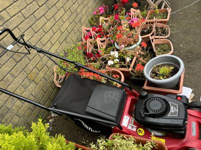 PETROL MOUNTFIELD LAWNMOWER