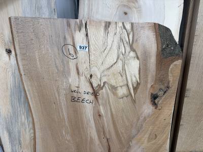 DRIED BEECH (130CM)