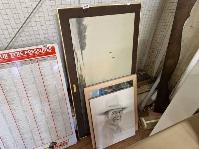 LOT OF PICTURES