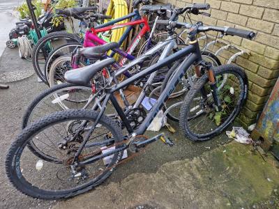CARRERA MOUNTAIN BIKE