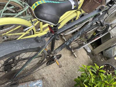 CARRERA BIKE