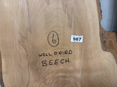 DRIED BEECH (130CM)