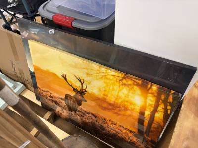 2 X ANIMAL CANVAS PRINTS