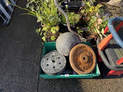 BOX OF WEIGHTS