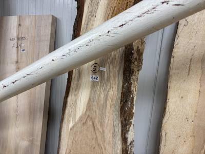 WELL DRIED OAK (227CM)
