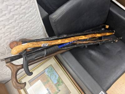 LOT OF WALKING STICKS