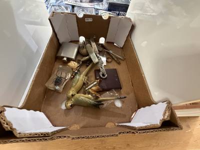 BOX OF CURIOS