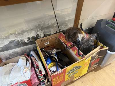 2 X BOX LOTS + PRINT