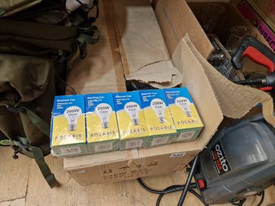 BOX OF BULBS