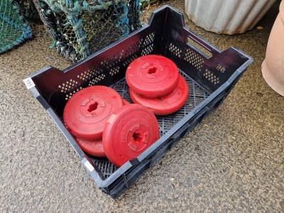 BOX OF WEIGHTS
