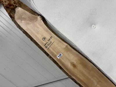 DRIED BIRCH (210 CM)
