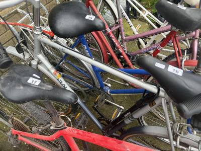 RALEIGH BIKE