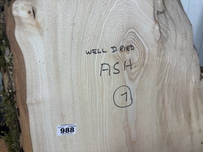 DRIED ASH ( 160CM)